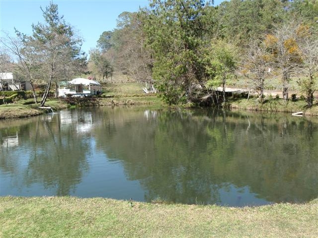P1300045 (Small).JPG